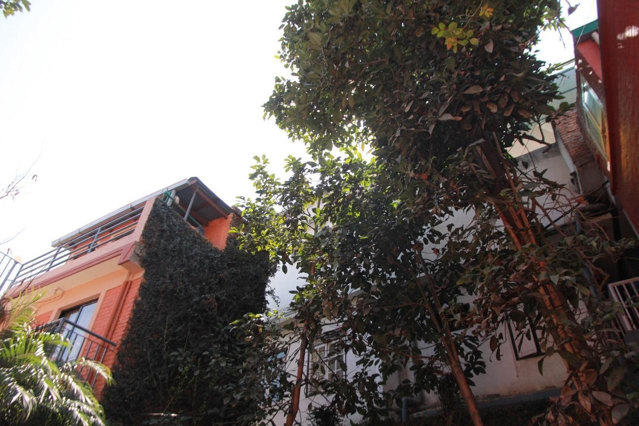 Ojas Wellness B&B Lalitpur Luaran gambar